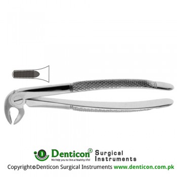 English Pattern Tooth Extracting Forcep Fig. 13 (For Lower Premolars) Stainless Steel, Standard
